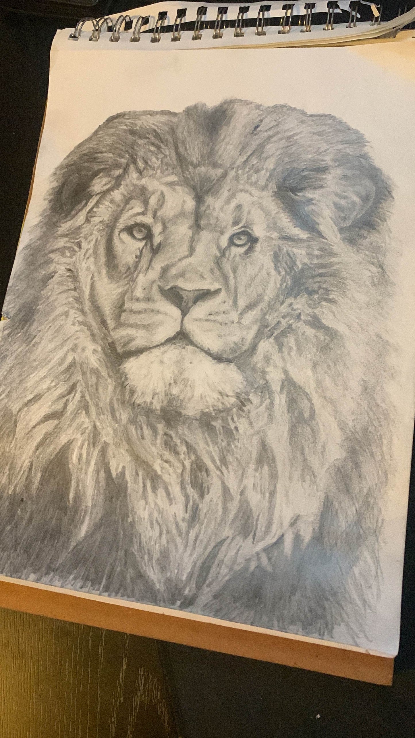 Lion’s Gaze — Original Graphite Drawing (11x14)