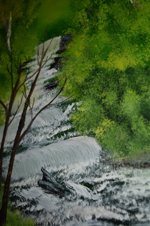 Aerial view of a winding river with white water cutting through dense green forest and moss-covered banks