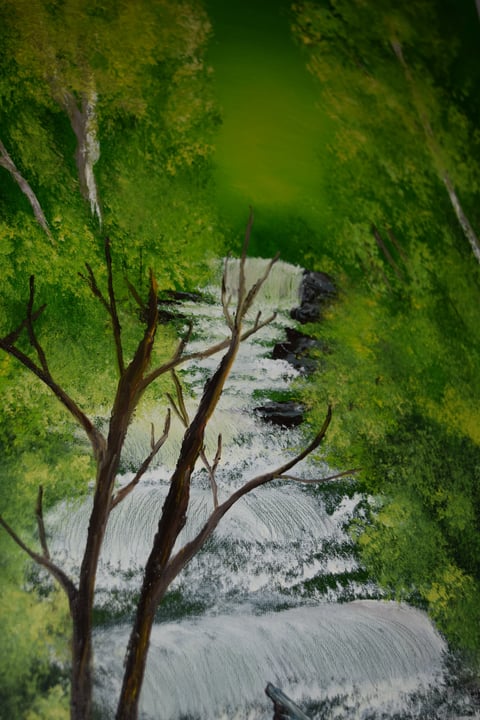 Aerial view of a winding river flowing through a lush green forest with trees lining both banks