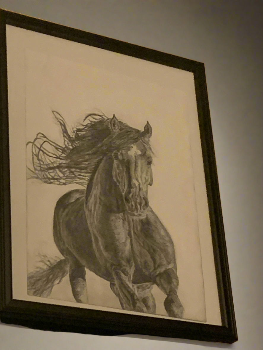 Untamed Spirit — Original Graphite Drawing (11x14)