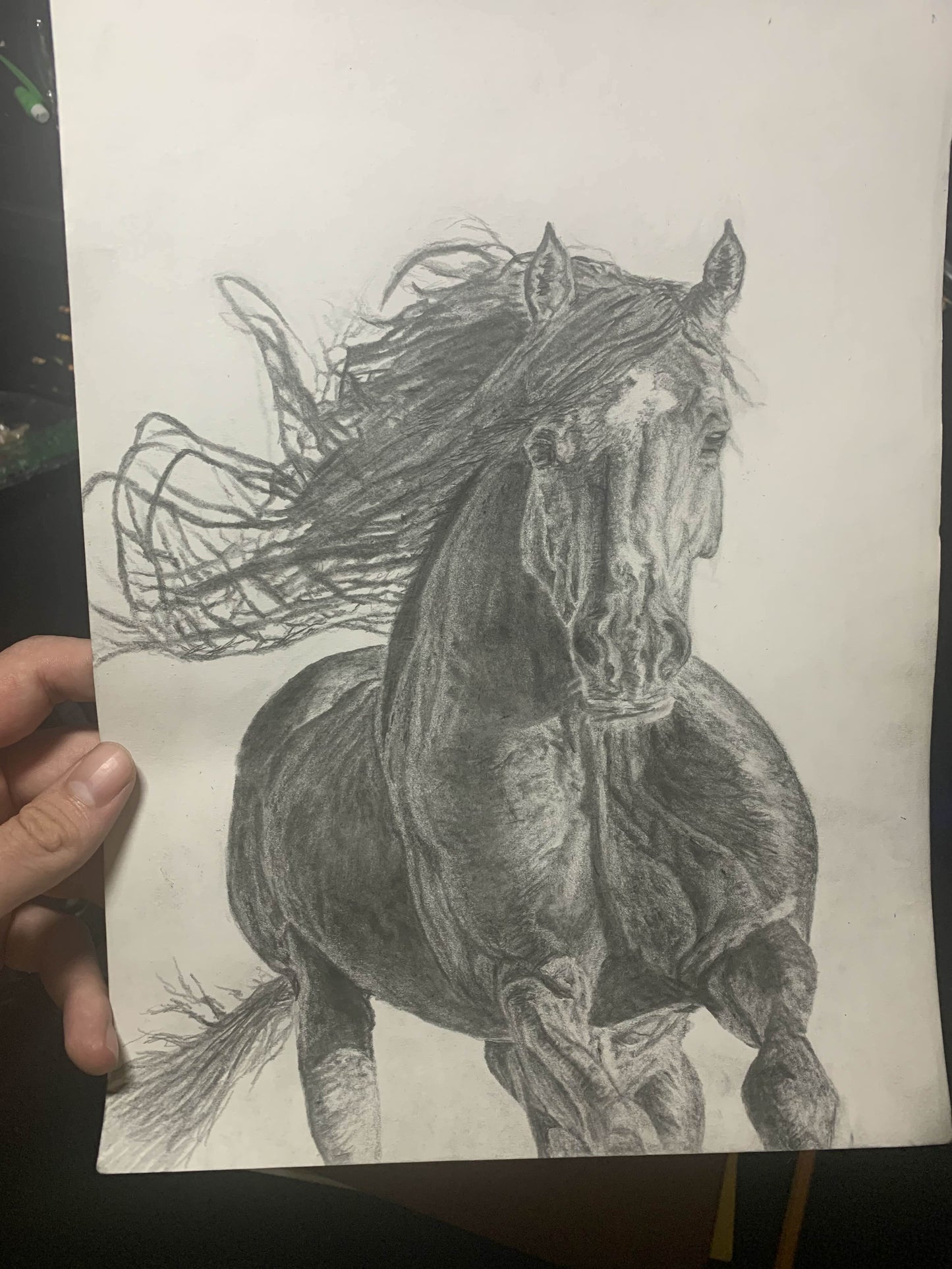 Untamed Spirit — Original Graphite Drawing (11x14)