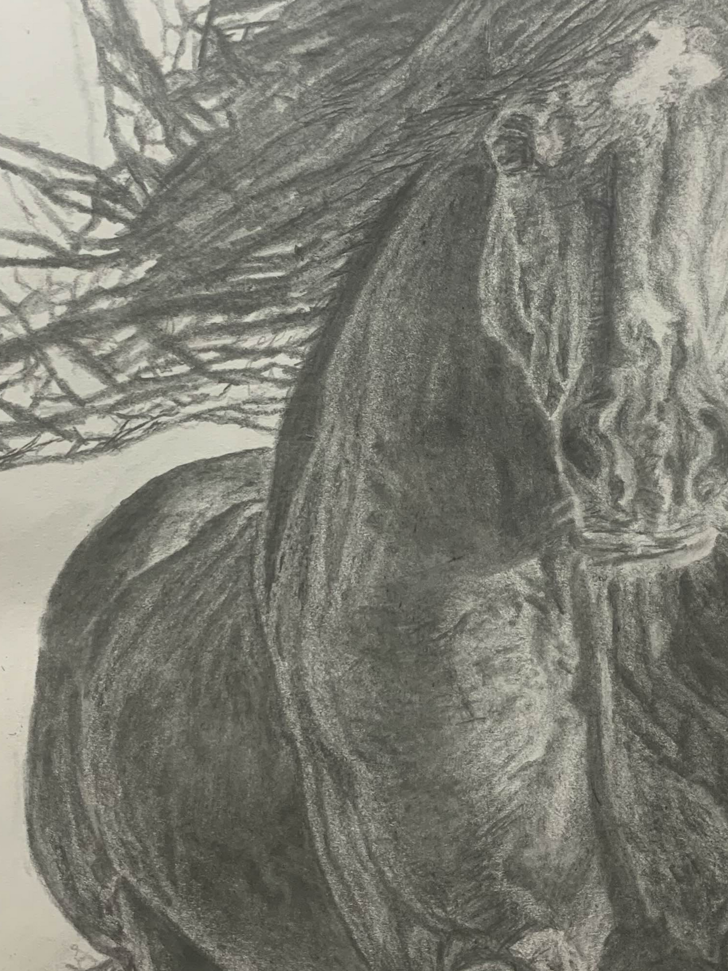 Untamed Spirit — Original Graphite Drawing (11x14)