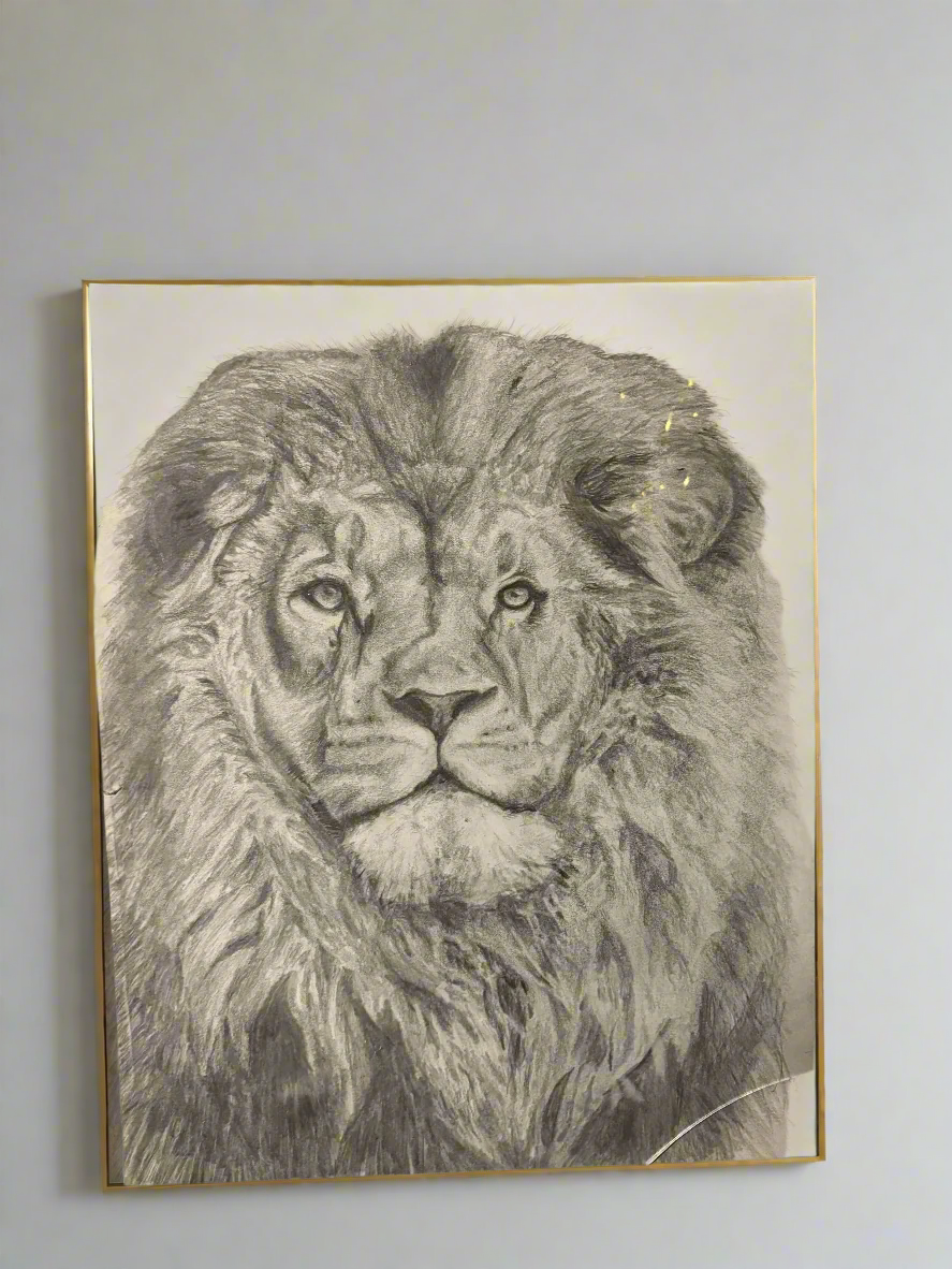Lion’s Gaze — Original Graphite Drawing (11x14)